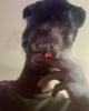 Kamur is single in Brunswick, GA USA