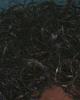 Rais is single in Spartanburg, SC USA