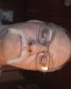 Billy is single in Princeton, KY USA