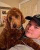 Evan is single in Richboro, PA USA