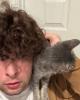 Gavin Finucane is single in San Antonio, TX USA