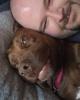 Dustyn is single in Farmington, ME USA