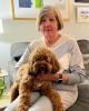 Stephanie is single in Hampstead, NH USA