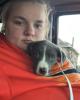 Katy is single in Windsor, MO USA