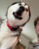Logan is single in Lowell, MI USA
