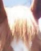 Nancy is single in La Center, WA USA