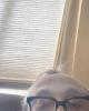 Shytedd is single in Canandaigua, NY USA