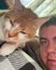 Joseph is single in Greenville, IL USA