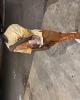 Martravious is single in Gainesville, FL USA