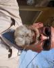 Ej is single in Hesperia, CA USA