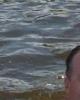 Gary is single in Newport, RI USA