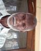 John is single in Dearborn, MI USA