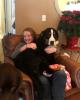 Colleen is single in Horseheads, NY USA