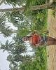 Christina is single in Salt Lake City, UT USA