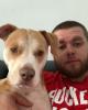 John is single in Naples, FL USA