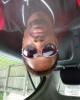 Alexander is single in Springfield, OH USA