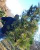 Casey is single in Ripley, OH USA