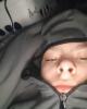 Nick is single in Rockford, IL USA