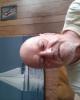 William is single in Western Shore, NS CAN