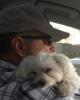 Joe is single in Windham, NH USA