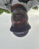 Lee is single in Statesboro, GA USA