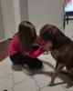 Stephanie is single in Palatine, IL USA