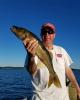 Larry is single in Virginia, MN USA