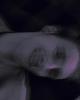 Thomas is single in Grand Junction, CO USA