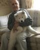 Lou is single in Monroe, CT USA