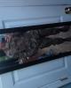 Austin is single in Stratham, NH USA