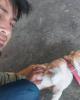 Luis is single in Greybull, WY USA