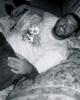 Bryan is single in Lillian, AL USA