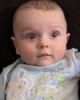 Roy is single in Harborcreek, PA USA