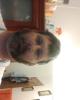 Brandon is single in East Bernstadt, KY USA