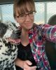 Samantha is single in Fairfield, MT USA