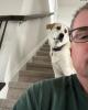 Tom is single in Douglassville, PA USA