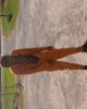 Ladarrious Pate is single in Simmesport, LA USA
