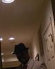 Byro is single in Glenn Dale, MD USA
