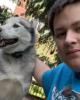 Sam is single in Clay, NY USA