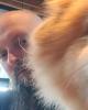 Jon is single in Mira Mesa, CA USA