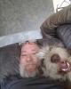 Tom is single in Kimball, NE USA