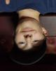 Dominic is single in Braham, MN USA