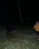 Luke is single in Port Clinton, OH USA