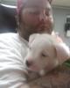 David is single in Carrollton, KY USA