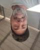 Tim is single in New Port Richey, FL USA