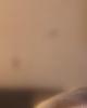 Pam is single in Walkerton, IN USA