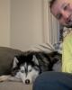 Josh is single in Slatington, PA USA