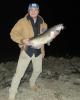 Nick is single in Farmington, NM USA