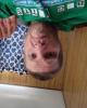 Patrick is single in Minot, ND USA