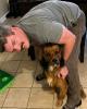 Trevor is single in North Wilkesboro, NC USA
